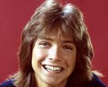 David Cassidy