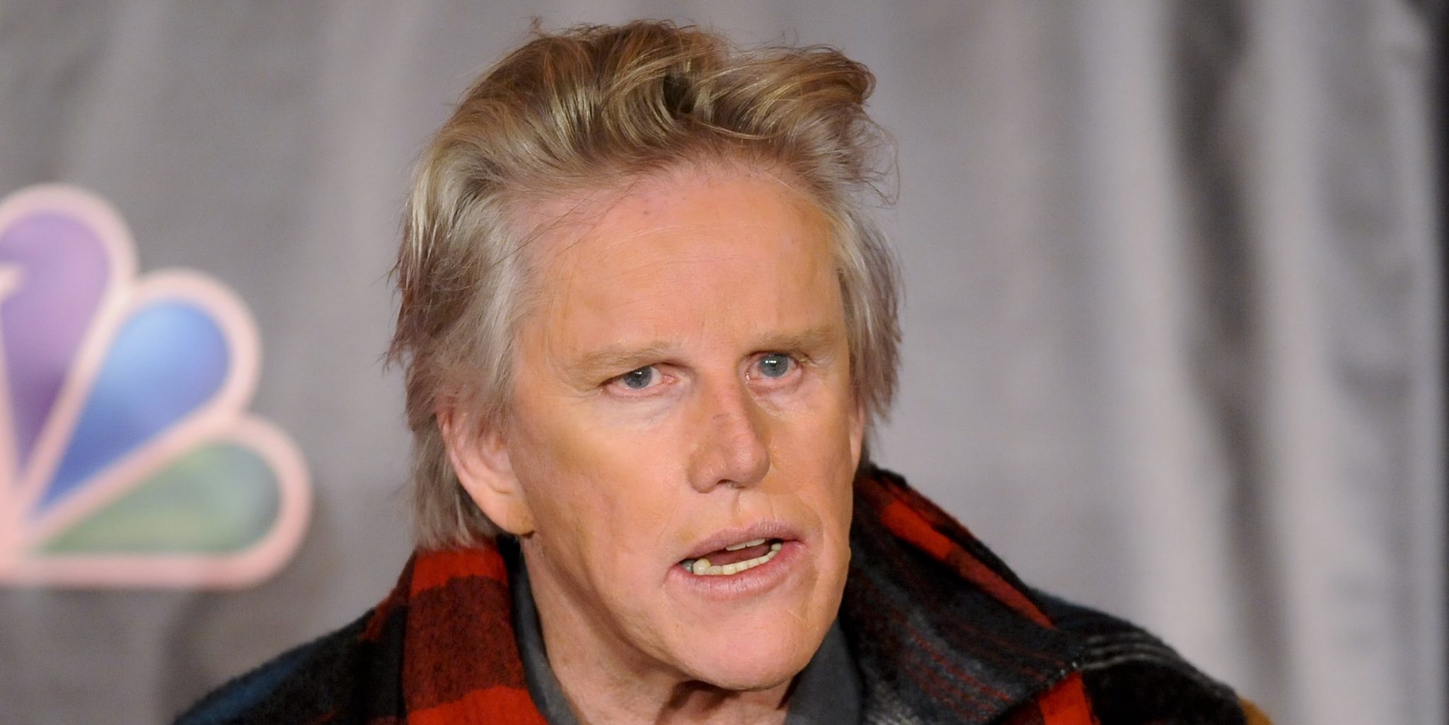 Gary Busey Net Worth July 2024, Salary, Age, Siblings, Bio, Family