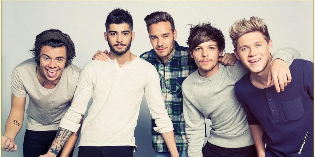 One Direction Net Worth March 2024, Salary, Age, Siblings, Bio